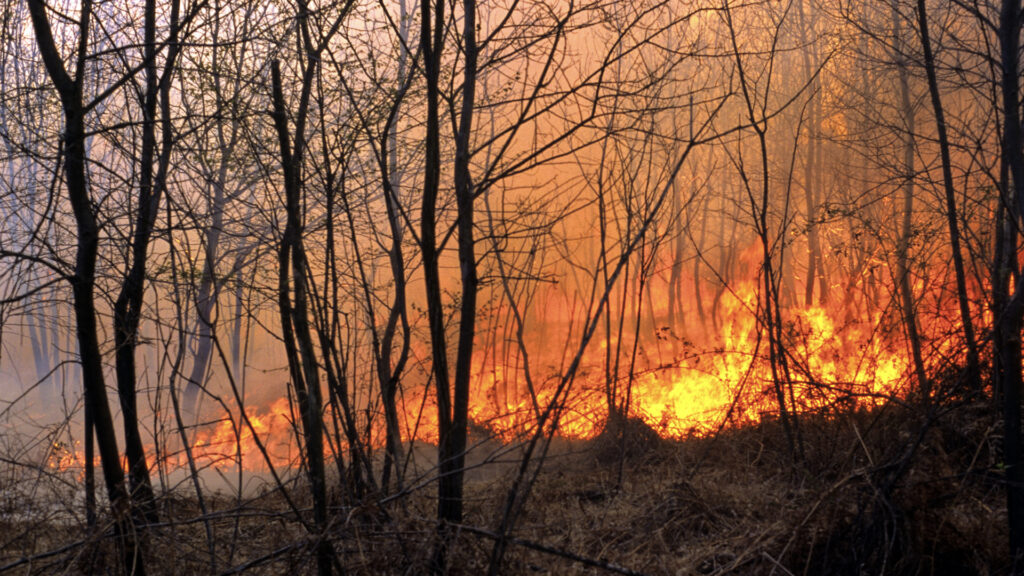 Incendios Forestales