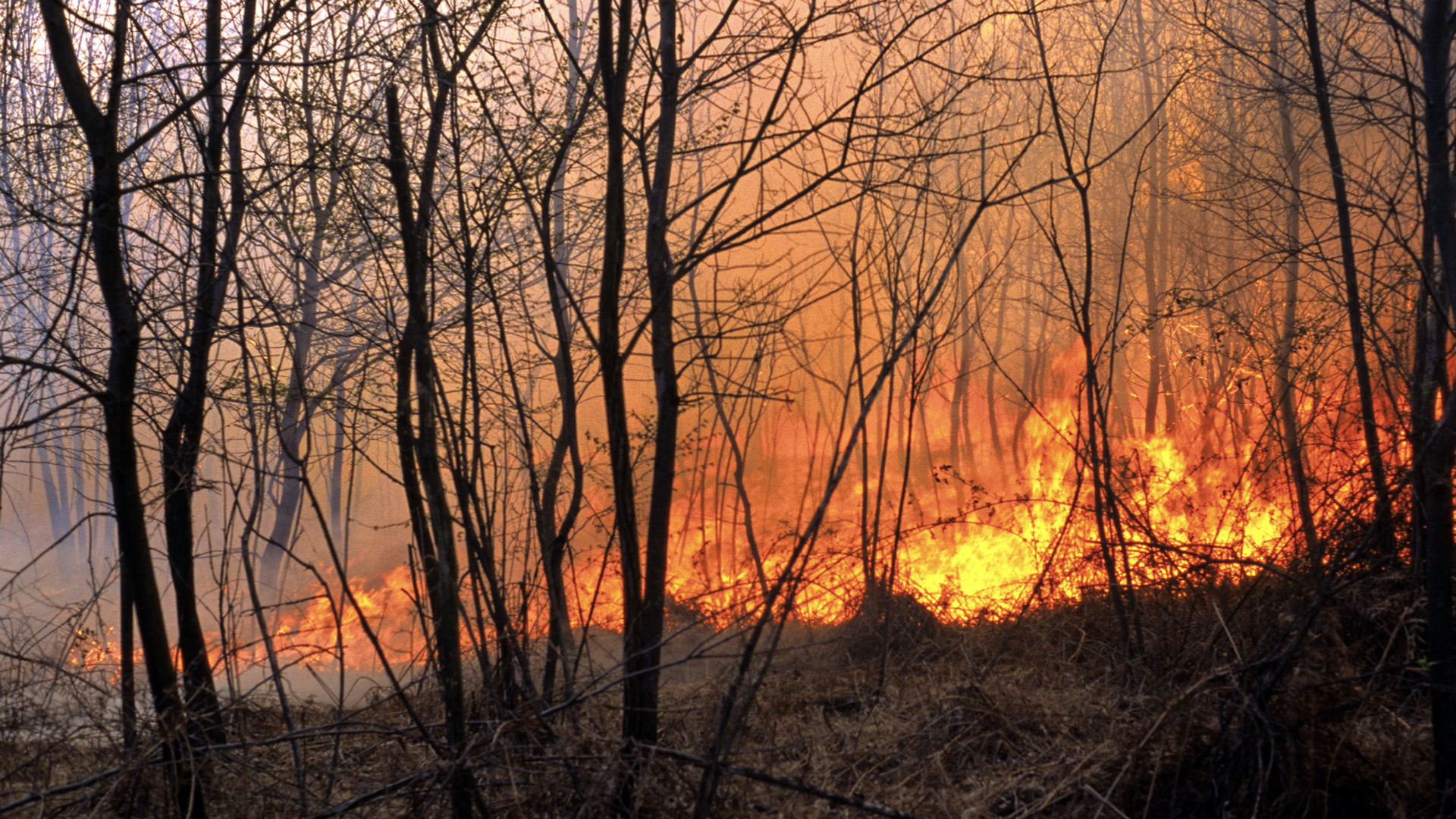 Incendios Forestales